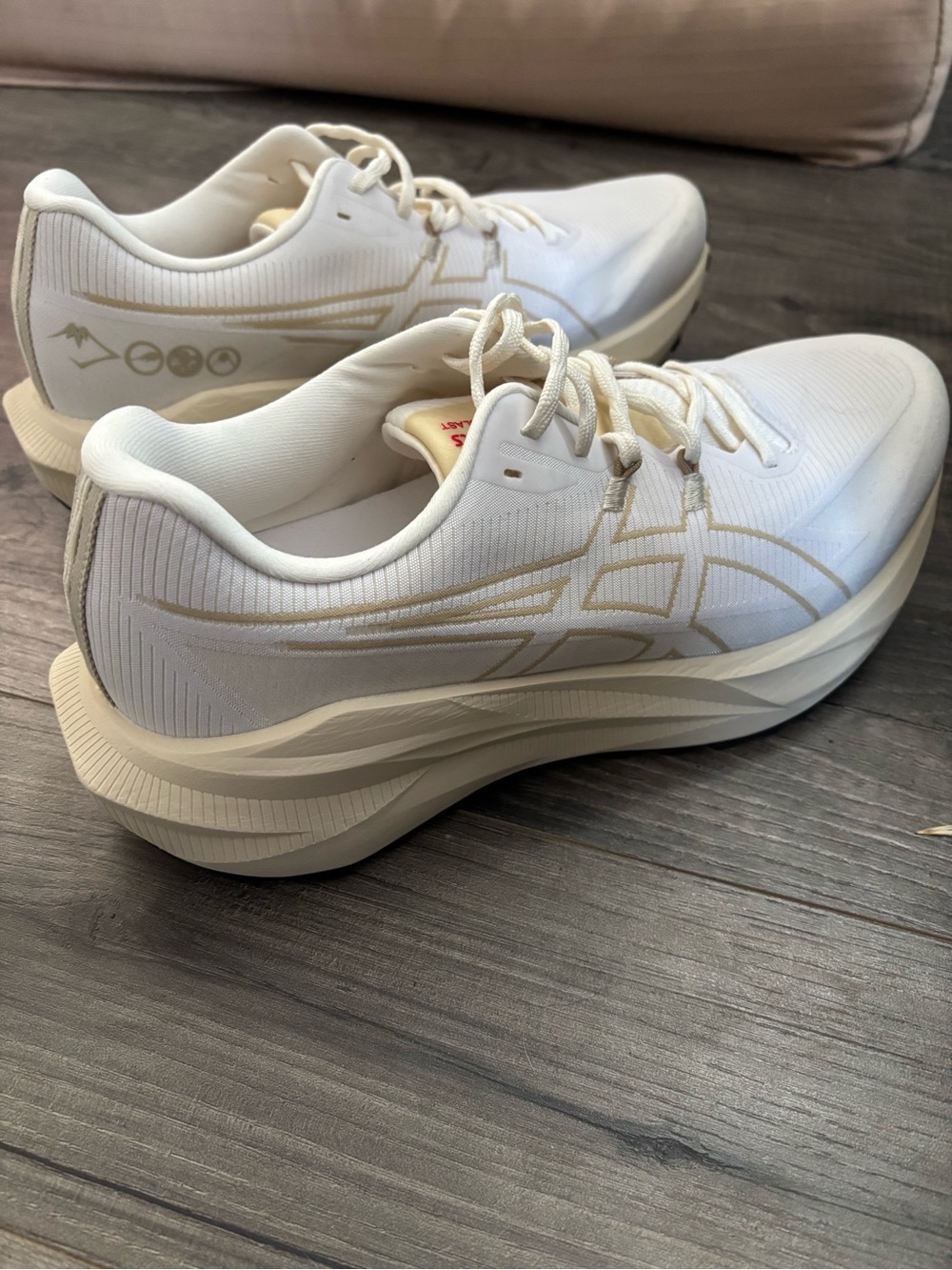 ASICS Men’s Blazeblast trail running shoes